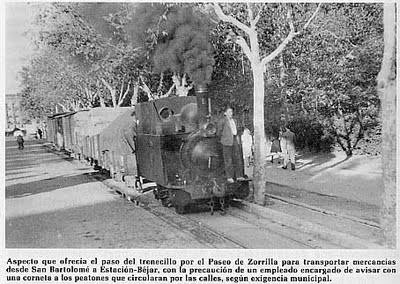 El tren burra a su paso por el Paseo Zorrilla y Campo Grande.