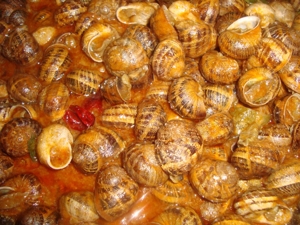Caracoles vallisoletanos